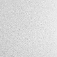 Placas De techo- laminada- poliestireno- color blanco